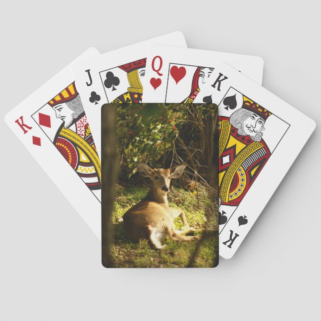 Young Buck Playing Cards (Back)