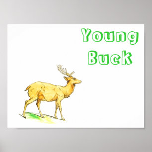 Young Buck Poster