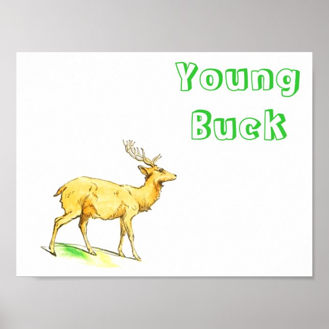 Young Buck Poster (Front)