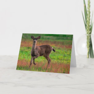 Young Buck  Thank You Card