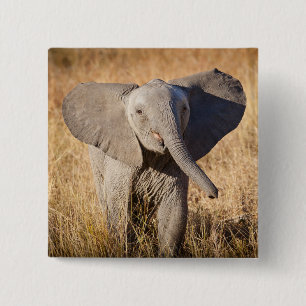 Young Bush Elephant 15 Cm Square Badge