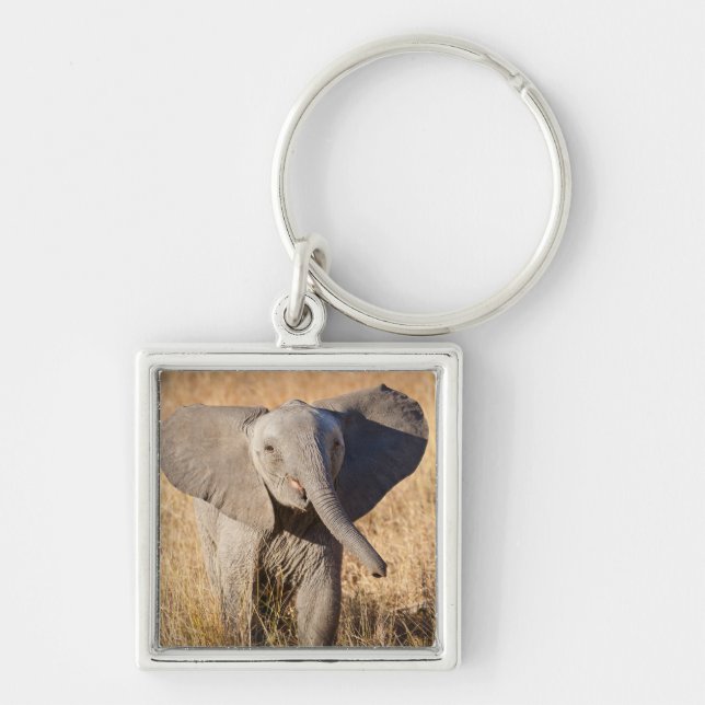 Young Bush Elephant Key Ring (Front)