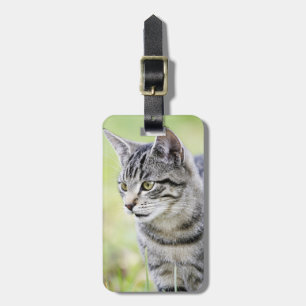 Young cat in nature luggage tag
