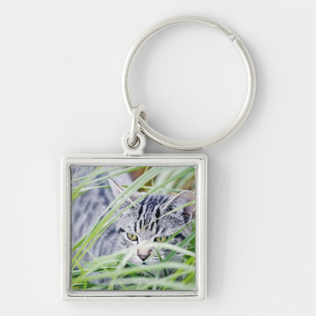 young cat portrait key ring (Front)
