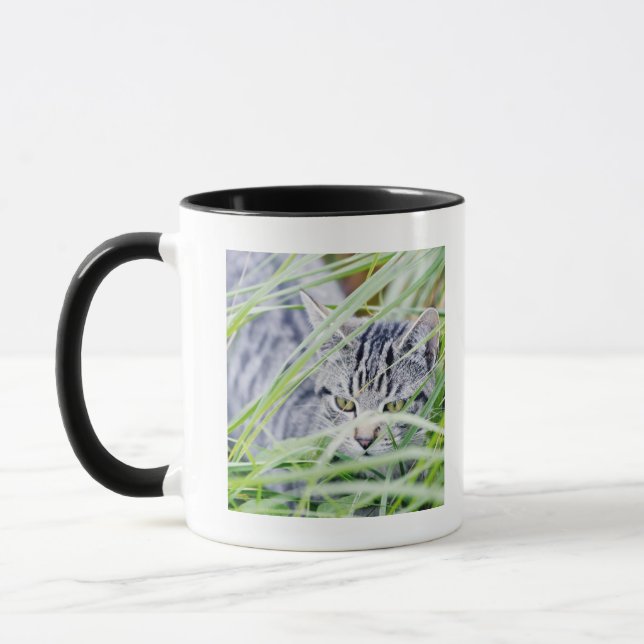young cat portrait mug (Left)
