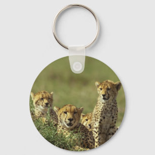 Young Cheetah Group Key Ring