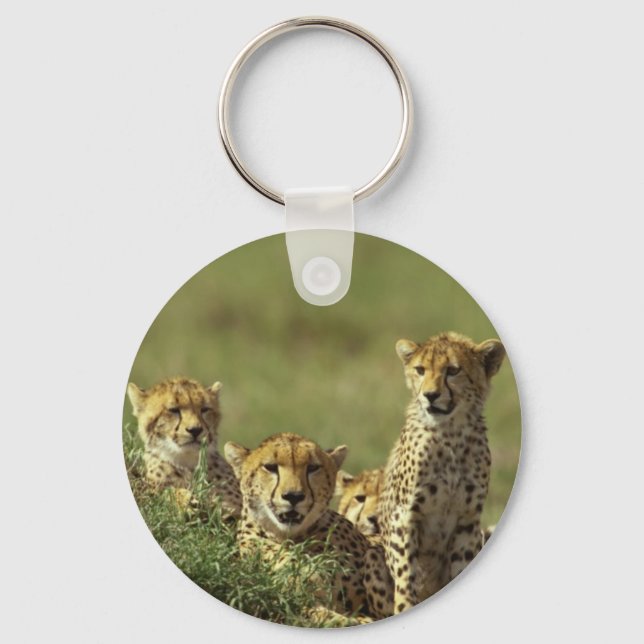 Young Cheetah Group Key Ring (Front)