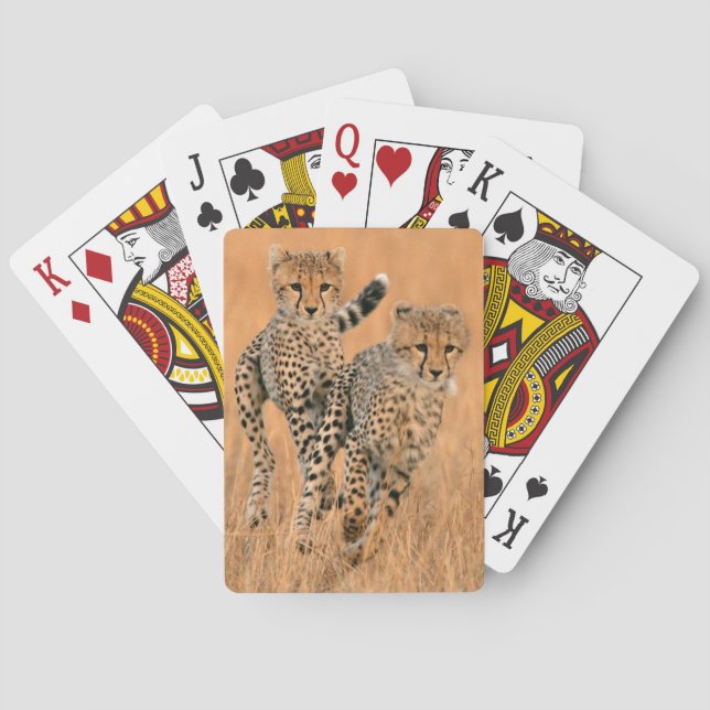 Young Cheetahs (Acinonyx Jubatus) Running Playing Cards (Back)