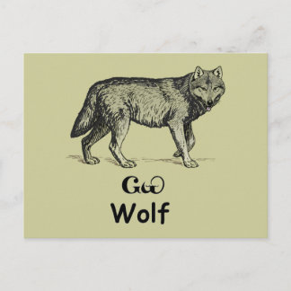 Young Cherokee Wolf Postcard