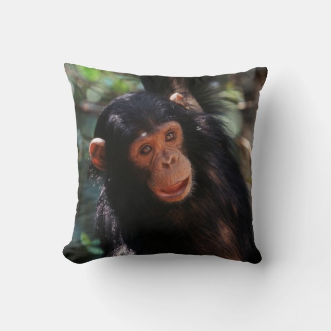 Young Chimpanzee Cushion (Front)
