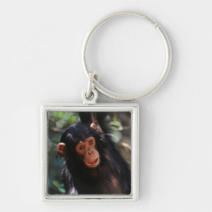 Young Chimpanzee Key Ring