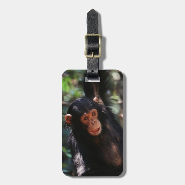 Young Chimpanzee Luggage Tag (Front Vertical)