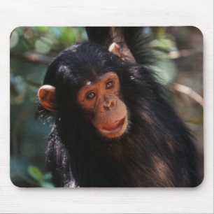Young Chimpanzee Mouse Mat