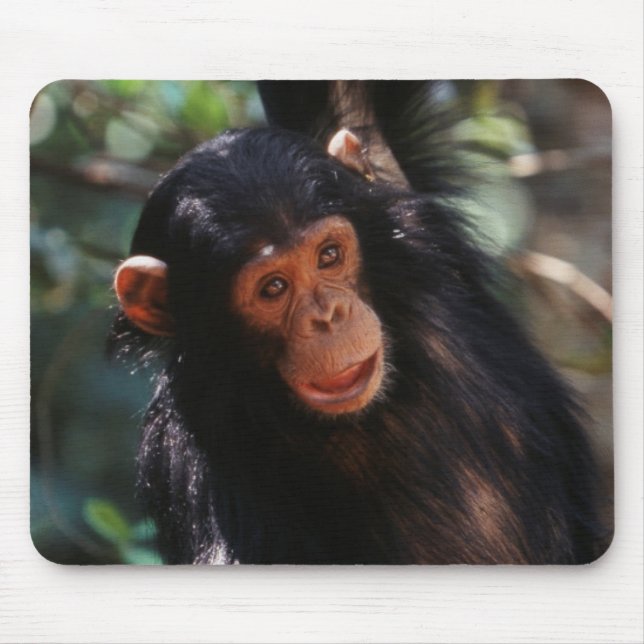 Young Chimpanzee Mouse Mat (Front)