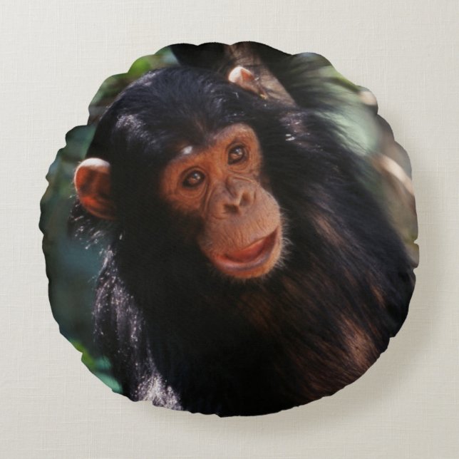 Young Chimpanzee Round Cushion (Front)