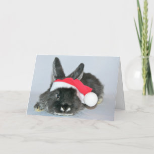 Young christmas rabbit holiday card