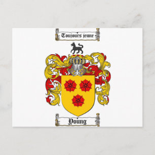 Young Coat of Arms / Young Family Crest Postcard