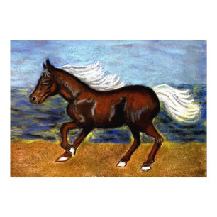 Young Colt Photo Print