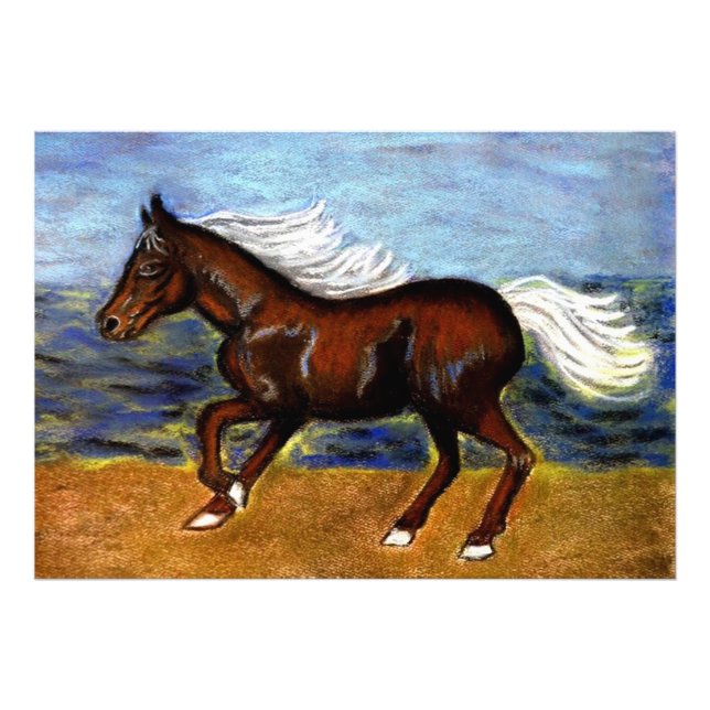 Young Colt Photo Print (Front)