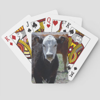Young Cow Black and White Face Western Playing Cards