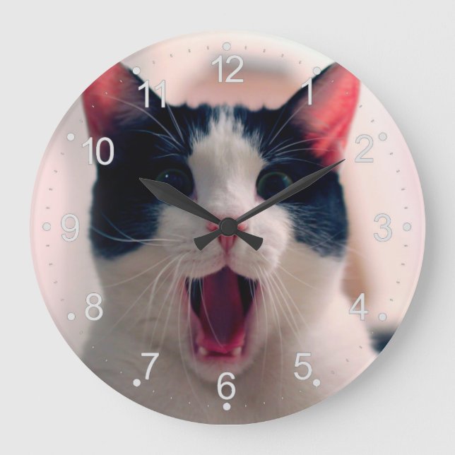 Young crazy surprised cat make big eyes large clock (Front)