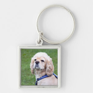 Young cute dog posing. key ring