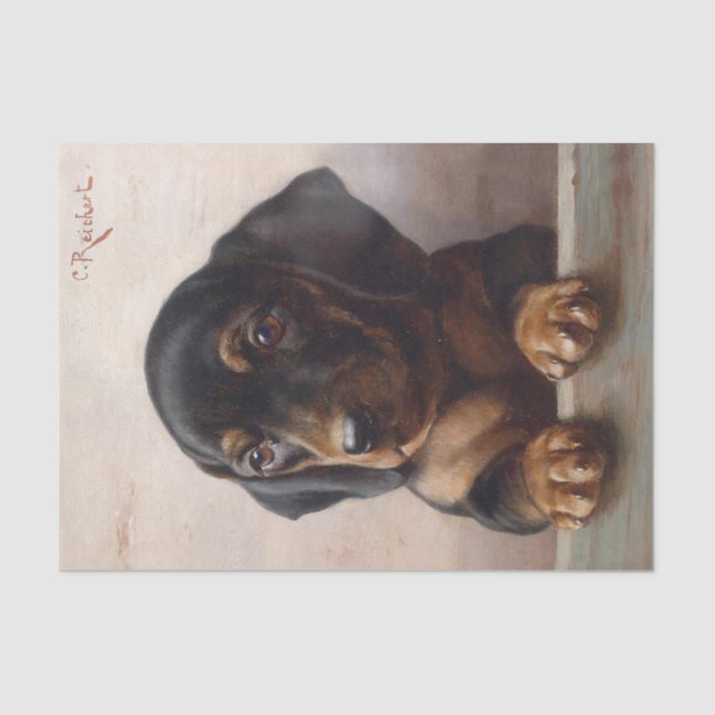 Young Dachshund by Carl Reichert Tissue Paper (Front)