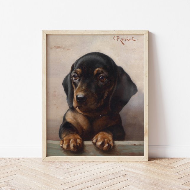 Young Dachshund | Carl Reichert Poster (Creator Uploaded)