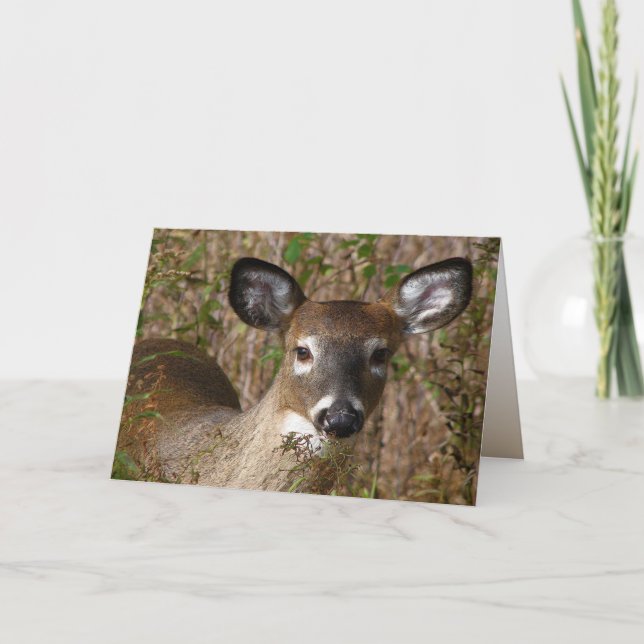 Young Deer Dia del Padre Card (Front)