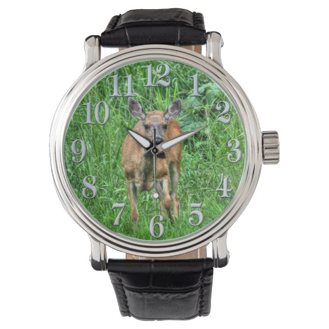 Young Deer Doe and Green Grasses Wildlife watch (Front)