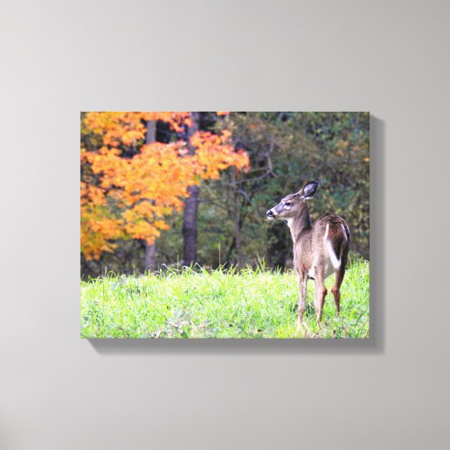 Young Deer in Autumn Canvas Print (Front)