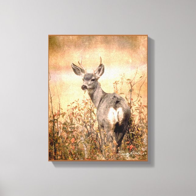 Young Deer in Wildflowers with Grungy Texture Art Canvas Print (Front)