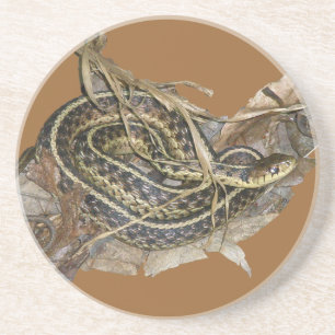 Young Eastern Garter Snake Coaster