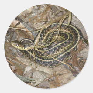 Young Eastern Garter Snake Coordinating Items Classic Round Sticker