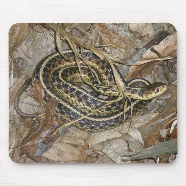Young Eastern Garter Snake Coordinating Items Mouse Mat (Front)