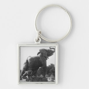 Young Elephant caught in a trap Key Ring