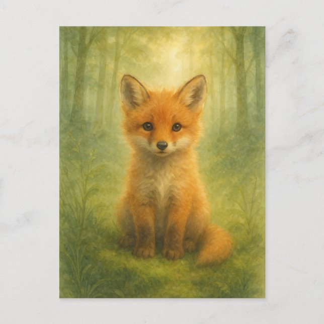 Young Fox Baby Wild Animals Postcard (Front)