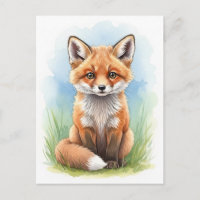 Young Fox Baby Wild Animals Postcard