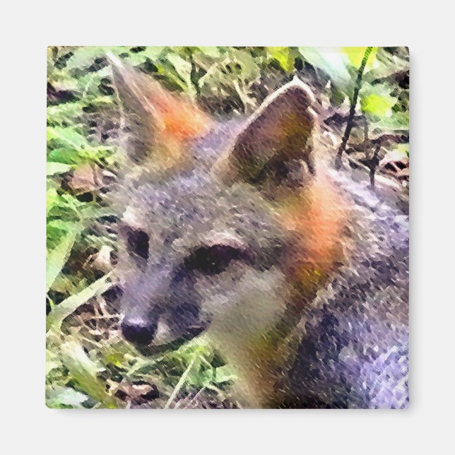 YOUNG FOX MAGNET (Front)