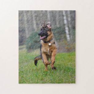 young German shepherd Jigsaw Puzzle