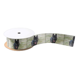 Young German Shepherd Satin Ribbon