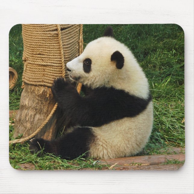 Young giant panda. mouse mat (Front)