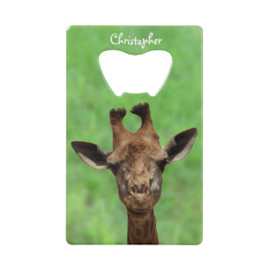 Young Giraffe Bottle Opener