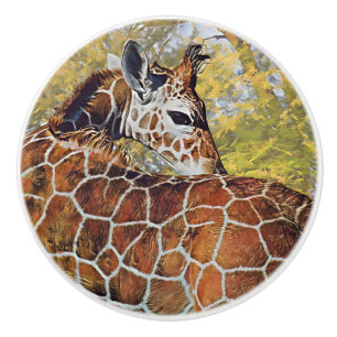 Young Giraffe Ceramic Knob