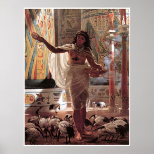 Young girl feeding the Sacred Ibises at Karnak, Poster