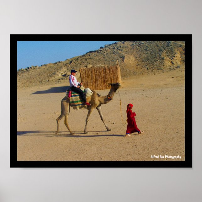 Young Girl With Camel Poster (Front)