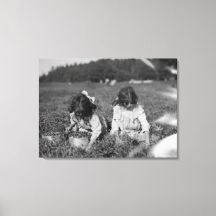 Young Girls Picking Cranberries Photograph Canvas Print