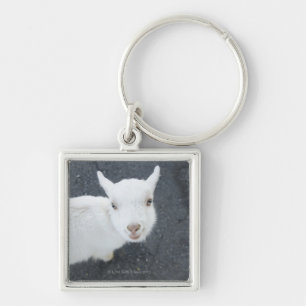 Young goat key ring