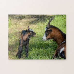 Young goat lamb jigsaw puzzle