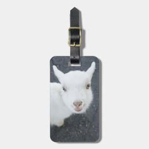 Young goat luggage tag